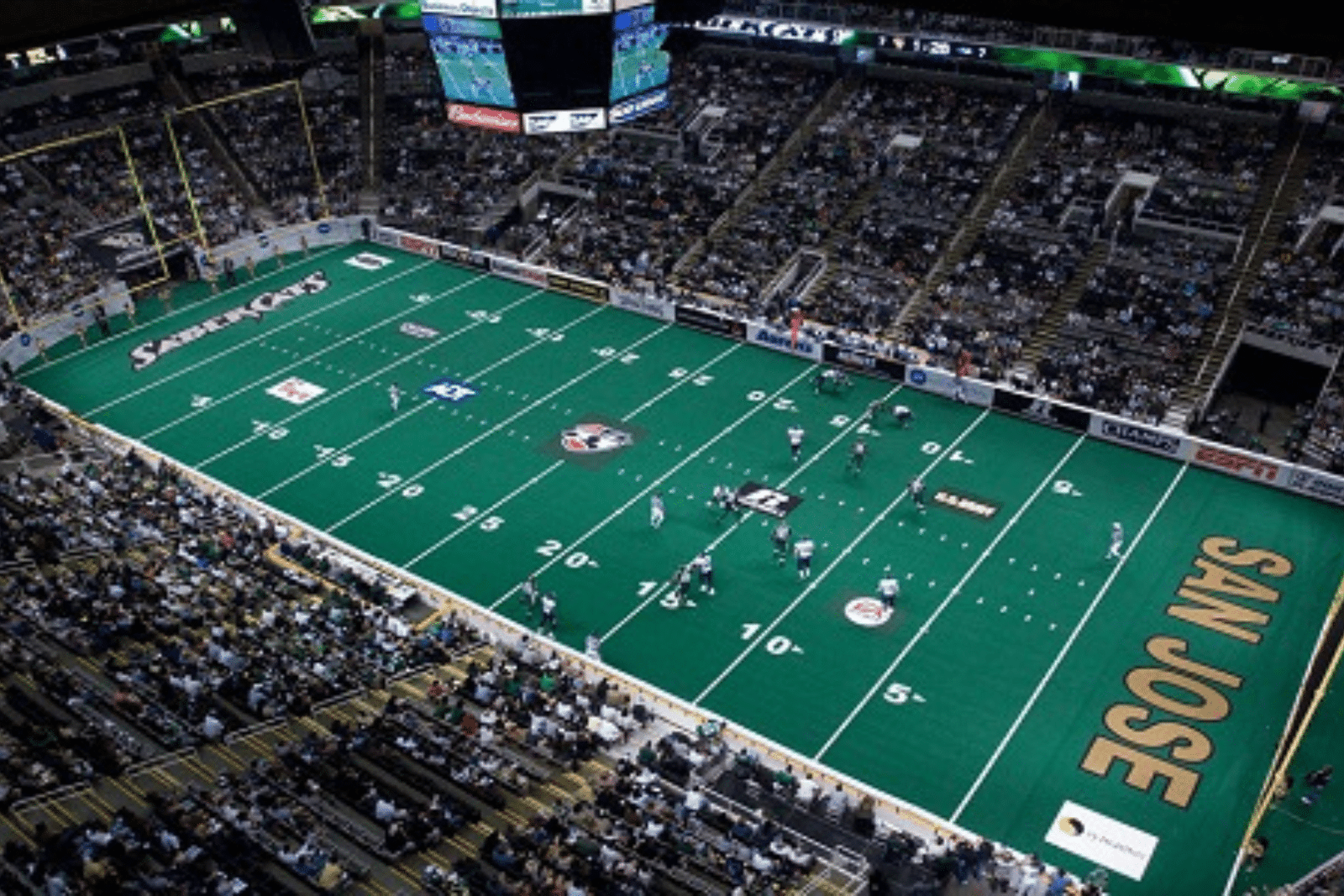 How Much Does Arena Football Pay